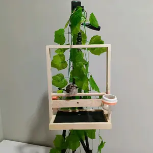 Sangkar Burung Layang Kutilang Jati Landa Aesthetic Type Ab01 Polos Natural