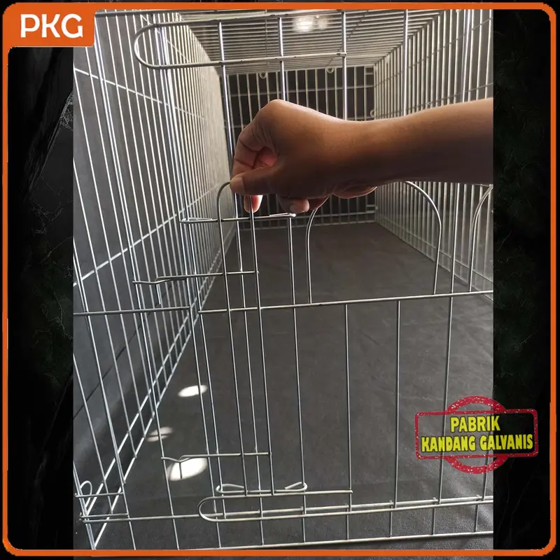 Kandang Umbaran Galvanis Besar 200cm Untuk Ayam Jago Bangkok, Kurungan Umbaran Jumbo 2 Meter Murah 1