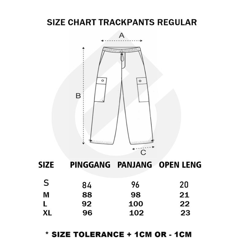 Product Introduction of Goovin Track Pants Cargo Parasut Drizzle Celana Panjang Cargo Parasut Fit Slimfit 0