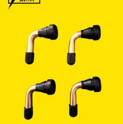 Pentil tubeless sepeda listrik