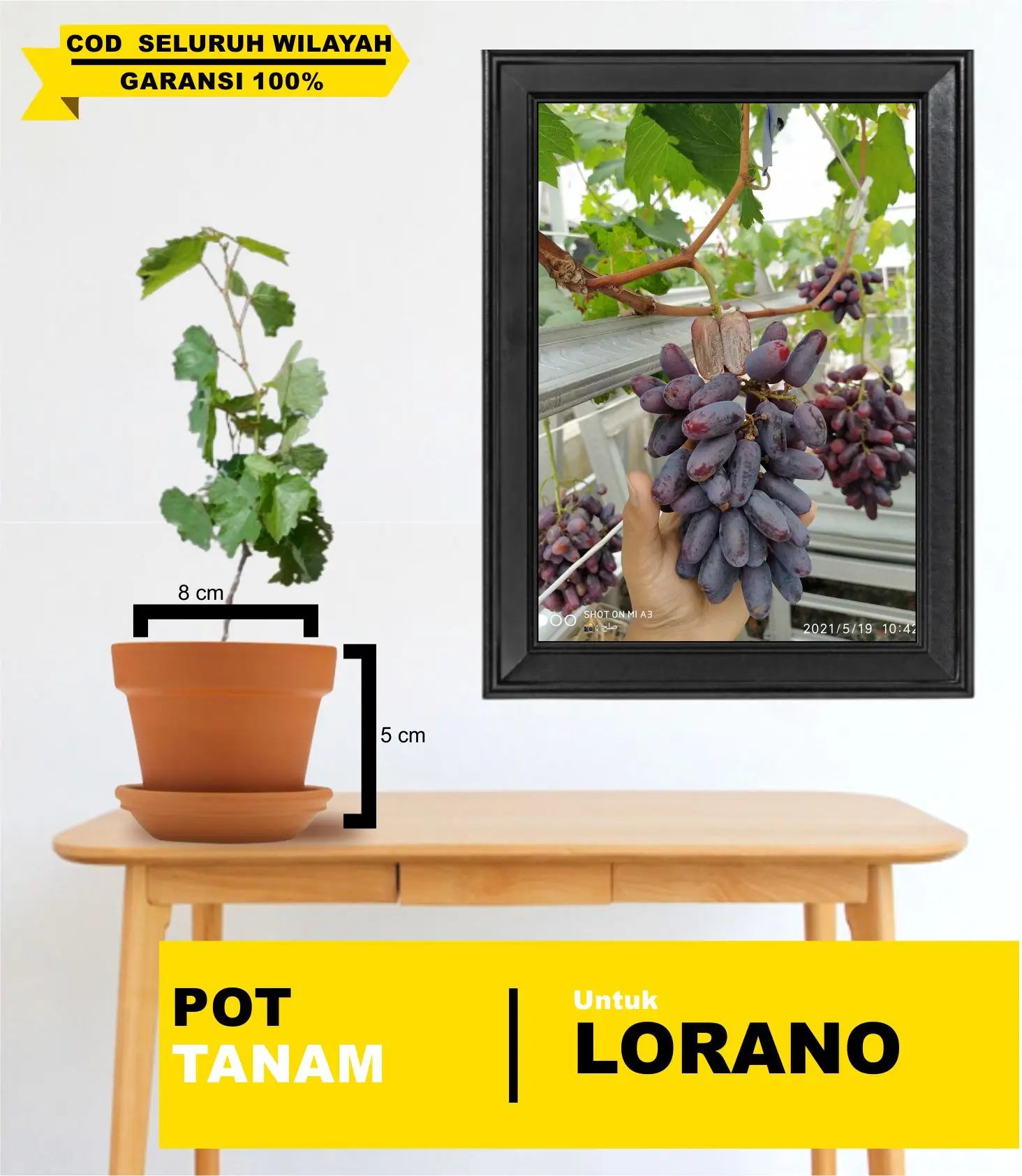 POT PLASTIK TANAM Tipe LORANO