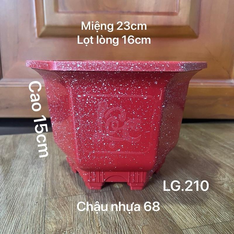    10 -30 Cái Tuỳ Màu   Chậu Nhựa Lục Giác Mini 210 Trồng Cây Loại Dày Dặn + 1 Cái LG.120 