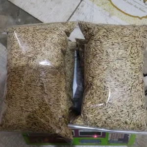 Gaba Padi Merah murni 1 kg