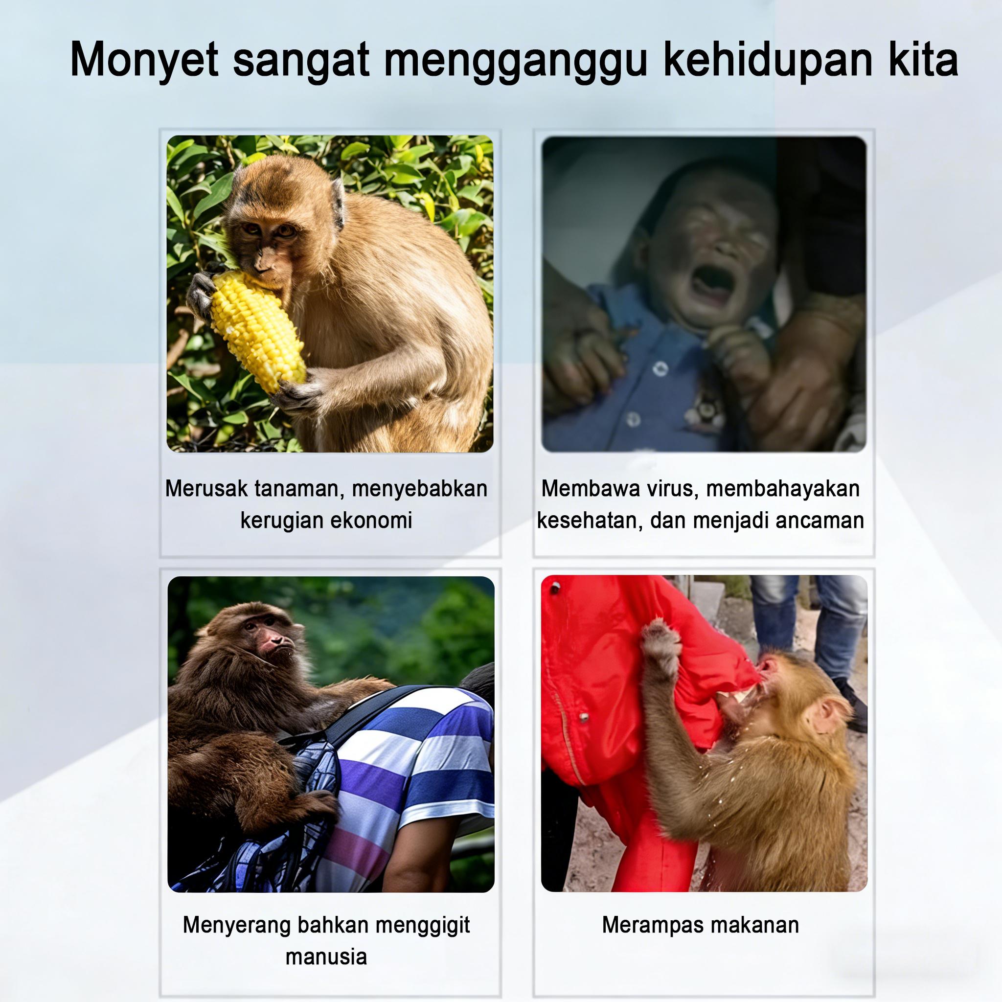 10 tablet/pil penangkal monyet potensial - diformulasikan secara ilmiah untuk menakut-nakuti monyet, aman dan tidak beracun. 10 tablet/pil penangkal monyet potensial - diformulasikan secara ilmiah untuk menakut-nakuti monyet, aman dan tidak beracun.