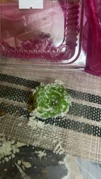 Product Review of Blue drop Cat Rabbit kurap hama kutu from Z**n 0