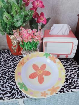 Product Review of PAKET HEMAT 6/12 Pcs Piring Makan Melamin 9 Inch 23 Cm - Melamin Meishing - Warna Random T109 from i**5 0