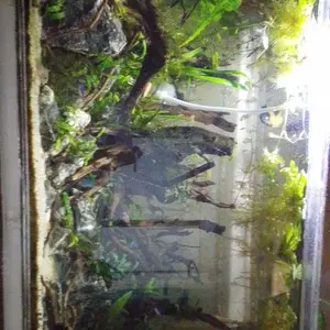 Lampu LED Jepit Flexible Bulat 3 Mode Ganti Warna