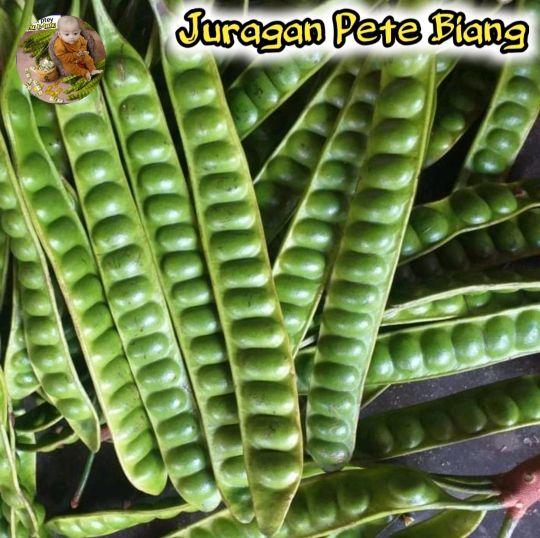 PETE PADI ISI 10 PCS/ PETE SEGAR PILIHAN/ PETE TUA/ PETE SUPER/ PETE WONOGIRI/ SAYURAN SEGAR