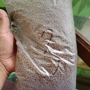 TERLARIS Eko Feed 1kg Pelet Ikan Air Tawar Pakan Apung Lele Nila Patin Bandeng Bisa Semua Ikan Air Tawar