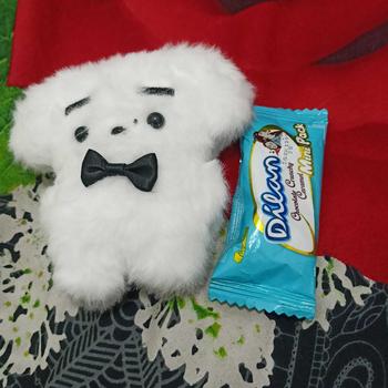 Product Review of Plushie Keyring Doll Enhypen from l**🐧 0