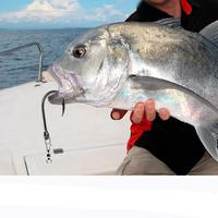 Gambar New Caldari 5PCS Kail Jigging Anti Karat Stainless Steel Kuat Harga Murah - Kail Pancing dari Toko Pancing Indonesia_NEW Kota Administrasi Jakarta Barat 2 Tokopedia