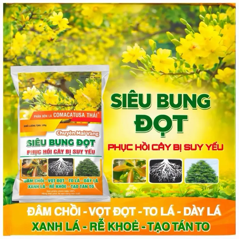 Phân Bón Lá Siêu Bung Đọt phục hồi cây sau tết gói 100gr