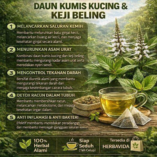 Teh Herbal Daun Kumis Kucing & Kejibeling Alami isi 20 - 30 Tea bag | Minuman Herbal Tradisional | HERBAVIDA Celup Teh Herbal Daun Kumis Kucing & Kejibeling Alami isi 20 - 30 Tea bag | Minuman Herbal Tradisional | HERBAVIDA Celup