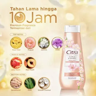 Citra UV Body Lotion Perfect Bright Bengkoang Bio-Peptide 60ml 110ml 210ml – Mencerahkan & Glowing 3