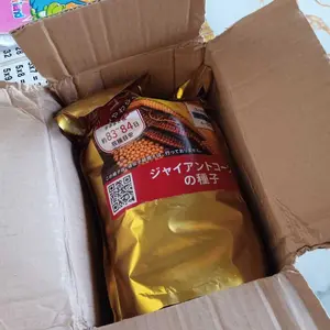 [Bonus Baju] Benih Jagung  F1 Jepang Original 100% Premium - 1kg & 500gr - Bibit Jagung Jepang Raksasa - Hasil Panen Melimpah Dan Cepat