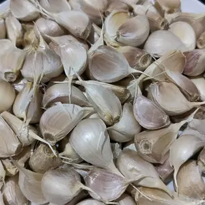Bawang Putih Kating fresh Lepas bonggol utuh