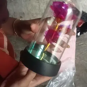 Ruangan Kamar Glass Lampu LED Bunga Mawar Dekorasi Beauty And The Beast Rose | Hampers Pajangan Kado Hiasan