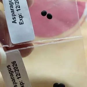 Benih Sayur Sayuran Benih Seribuan Varian Lengkap