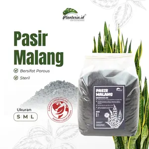 Pasir Malang Hitam Berkualitas 1 Kg Terdapat tiga ukuran S M L