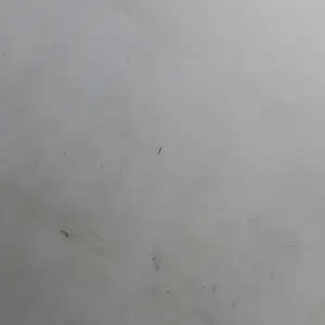 Sawangan Merpati Nyaring Hotang Pluit Hontang Burung Dara Terbaik