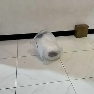 COVER PENUTUP MOBIL BRIO TRANSPARAN WATERPROOF tebal 80 micron Car