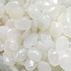 kolang Kaling buah caruluk termurah 500gr