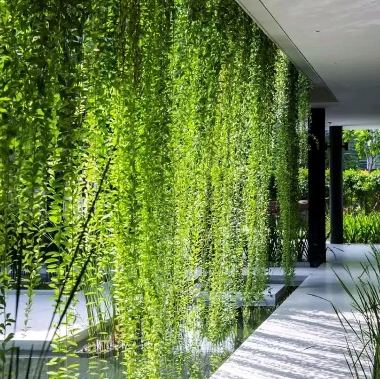 Tanaman Artificial Lee Kwan yew 2