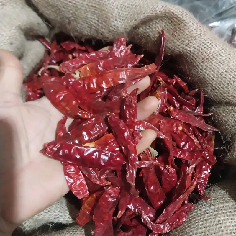 [2kg] Cabe Rawit Merah Kering MEDIUM Teja Japlak impor Super Pedas Food Goreng 4