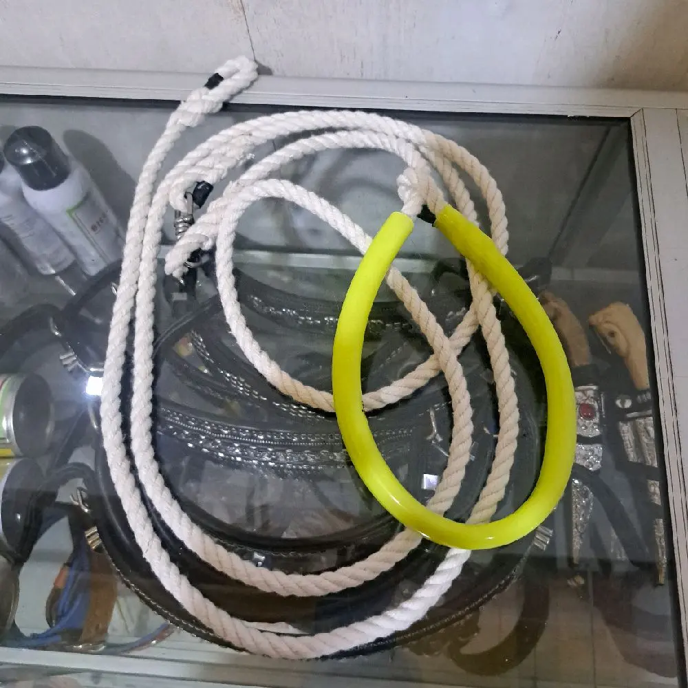 tali silang untuk tuntun anjing