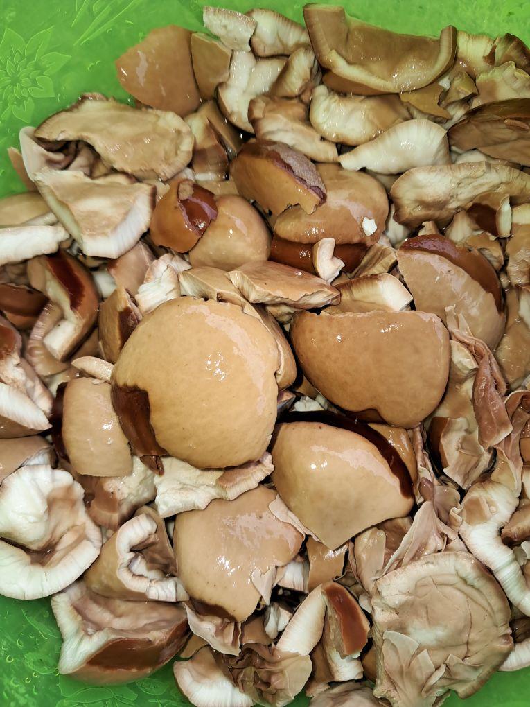 jual buah picung atau klewek sudah dikupas 400 grm