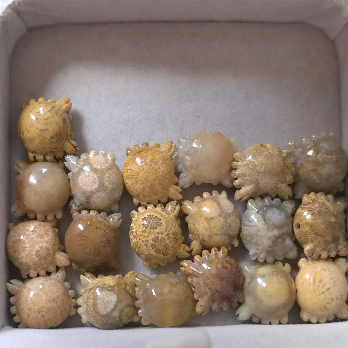 Coral Jade crab beads top and bottom hole