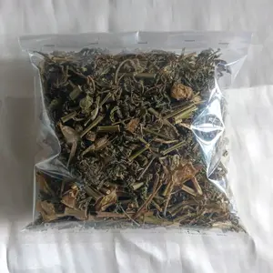 Ciplukan Kering 100 Gram Organik Alami - Bahan Alami untuk Spices