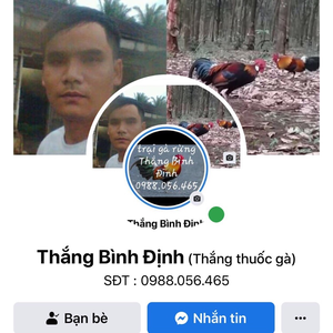 Thắng Bình Định