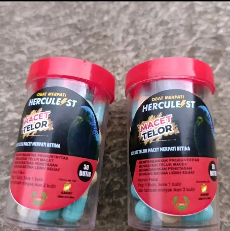 OBAT MERPATI MACET TELOR SOLUSI MERPATI BETINA MACET TELOR BONUS GRIT DAN SERABUT 2