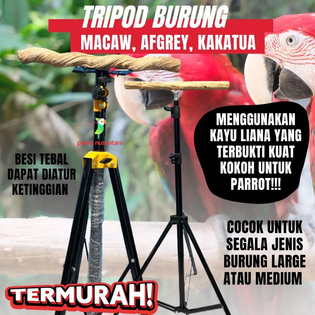 Tripod Tangkringan Untuk Burung Menggunakan Kayu Liana Yang Terbukti Kuat Kokoh Untuk Berbagai Jenis Burung