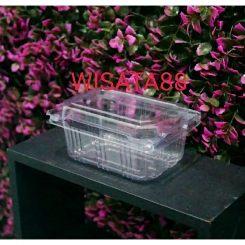 Mika buah anggur / Mika buah strawberry / Mika kue / Kotak cake / 500g
