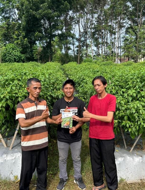BUKU SAKTI SENIMAN PERTANIAN - Panduan Lengkap Budidaya Cabe Segala Varietas - Belum Ada Selengkap Ini #EDISI3 BUKU SAKTI SENIMAN PERTANIAN - Panduan Lengkap Budidaya Cabe Segala Varietas - Belum Ada Selengkap Ini #EDISI3