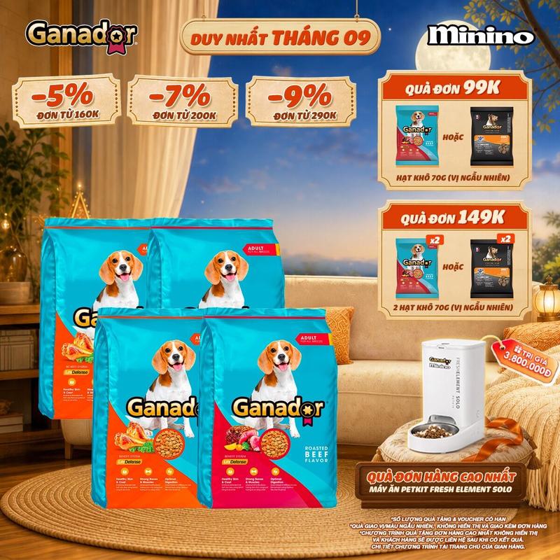 Combo mix: 2 túi Thức ăn hạt Ganador cho chó trưởng thành trưởng thành vị Gà…