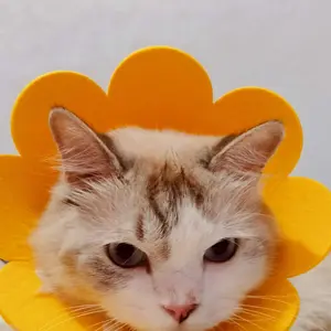 FOLOPETS CORONG PELINDUNG LEHER BAHAN EVA - Collar Pelindung Leher Kucing Anjing Kelinci Collar Spon Corong Penutup kalung  kucing  lonceng perros  protectores