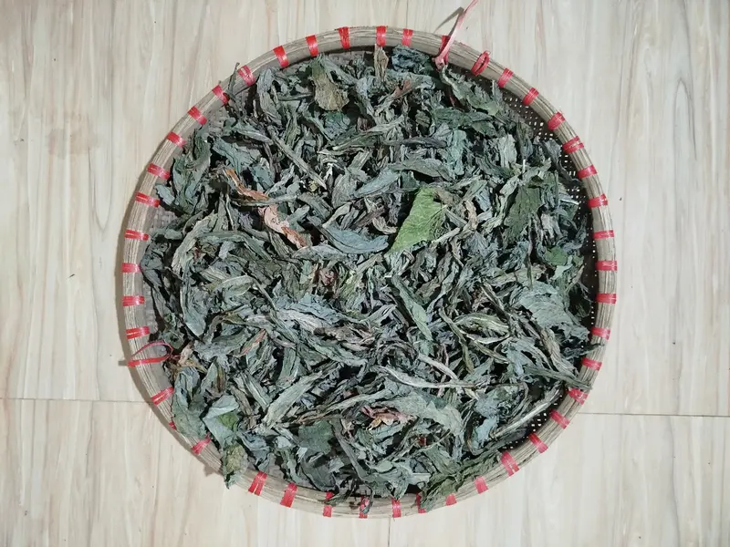 1kg Lá bồ công anh khô 1kg đặc sản Nam Định hỗ trợ Thanh nhiệt mát gan,tiêu u – dùng uống giải khát hàng ngày 1