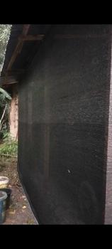 Product Review of Paranet 75% Lebar 3 Meter Panjang 10 Meter - Penggunaan Ideal untuk Meningkatkan Perlindungan Tanaman from A**n J**h 2