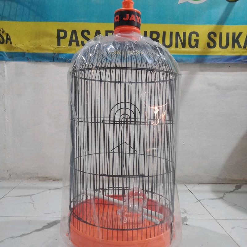 sangkar levebird oriq jaya vpc poloss bahan tebel ukuran lebar 33x33cm pengiriman seruruh indonesia 5