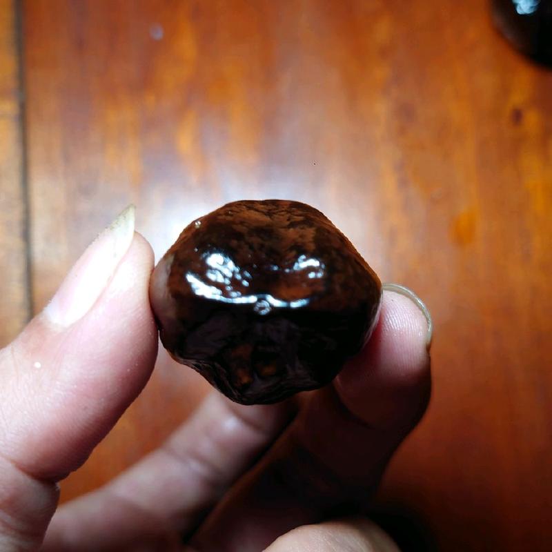 Muncang MARJUDI original jawa 3