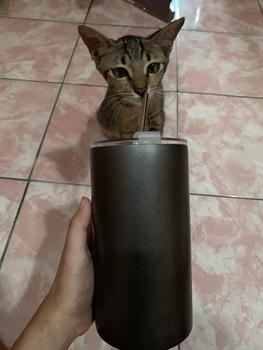 Product Review of Botol tumbler Minum Stainless Steel Tumblr Sedotan Cangkir/Botol Minum Kopi Sedotan/Cangkir Thermos 600ML Tahan Panas/Dingin Estetik from g**🦋 2