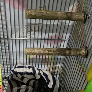 Wood Store Tangkringan Kayu Kopi & dowel kayu 12x1,5-2cm Cocok untuk Burung Kecil & Sugarglider Bahan Alami Aman Nyaman Ideal untuk Burung Kecil dan Sugarglider