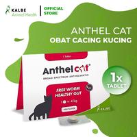 Gambar KALBE Anthel Cat Obat Cacing Kucing - 1 Tablet dari Kalbe Animal Health Kota Administrasi Jakarta Timur 1 Tokopedia