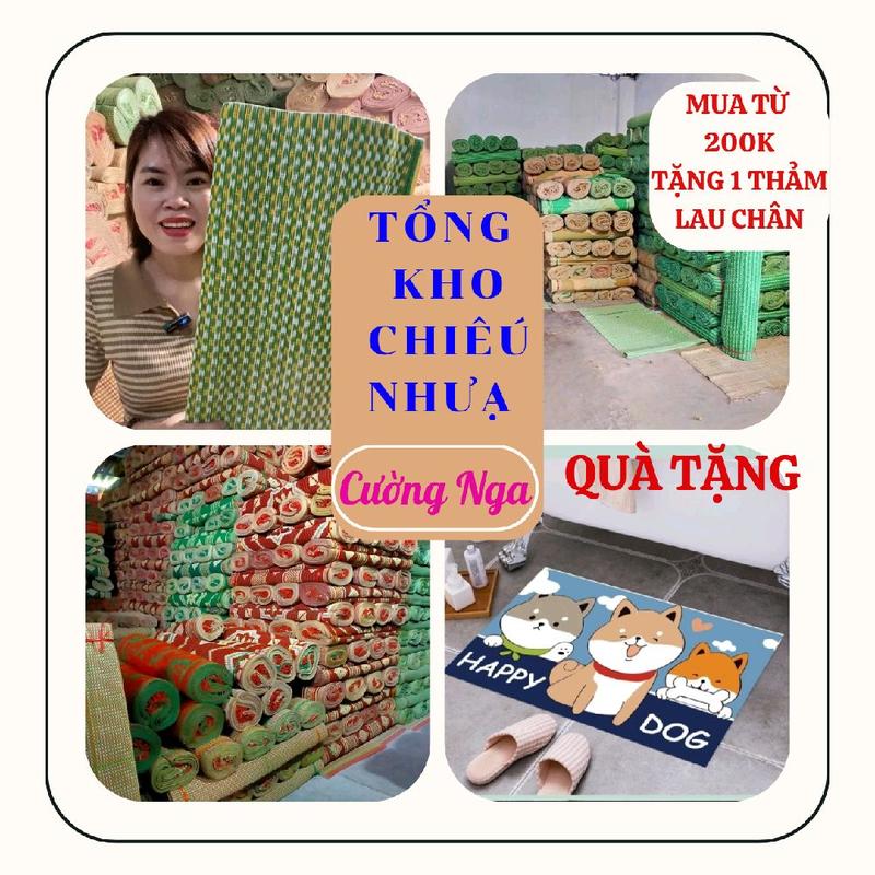  Chiếu nhựa chiếu gấp gọn chiếu du lịch dã ngoại 