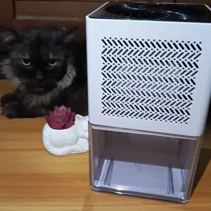 HAN RIVER Dehumidifier 1L Pemurni Udara dan Penyerap Kelembapan 2 in 1 Daya Rendah dan Senyap 22.5W