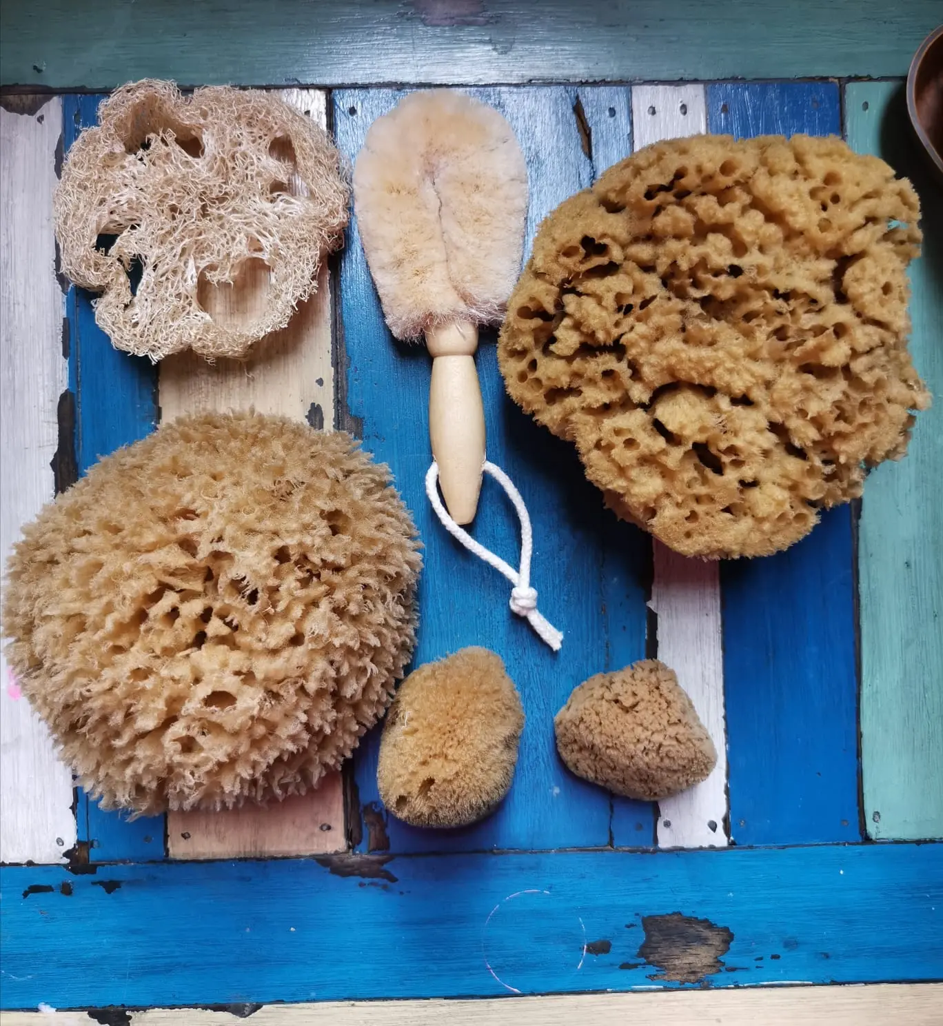 FreshLine Natural Sea Sponge - Anti-Bacteria - Skin Exfoliating