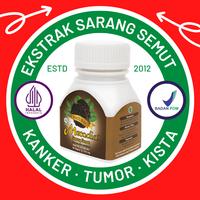 Gambar Mecodia Kapsul Ekstrak Sarang Semut [BPOM] dari DeherbaStore Kota Bogor 1 Tokopedia